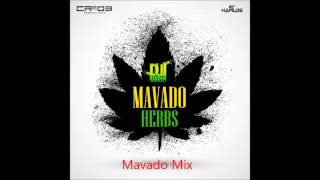 Mavado  Mix 2014 Lo Mejor [upl. by Fransis]