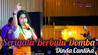 HAPPY LOSS  SERIGALA BERBULU DOMBA  DINDA CANTIKA  15 YEAR ANNIVERSARY ORSPEX  WARKOT KUDUS [upl. by Adlihtam]