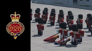 Guarding the Queen Intro Roblox Crossover [upl. by Ruby]