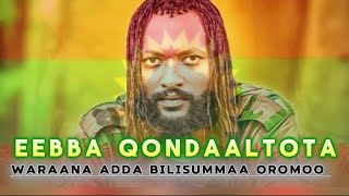 Qophii adda waraana Adda Bilisummaa Oromoo itti dhiyaadha 🫱🫲💪🦾 [upl. by Arakat]