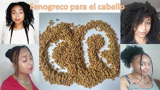 Fenogreco para el crecimiento del cabello Como hacer mascarilla de fenogreco [upl. by Urissa699]