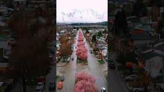 Esquel Argentina fiesta del Ciruelo en Flor [upl. by Aratas483]