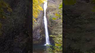 Horsetail FallsOregon oregon waterfall autumn fall hike pnw scenicdrive nature travel [upl. by Nannahs151]