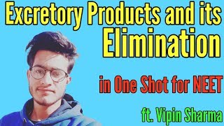 Excretory Products and their Elimination in One Shot ft Vipin Sharma [upl. by Wilscam]