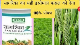 sagarika IFFCO useful for wheat farming agriculture [upl. by Darrej729]