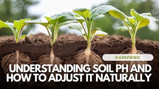 Understanding Soil pH and How To Adjust It Naturally [upl. by Tamsky]