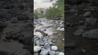 Gold Panning at Tranquille River in kamloops summer gold canada travel explore [upl. by Ittap]