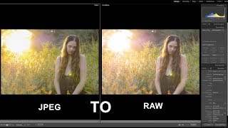 Topaz JPEG to RAW AI Real World Review [upl. by Haseefan]