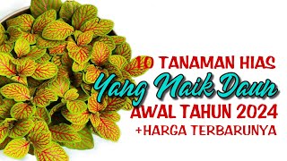 10 Tanaman Hias Yang Naik Daun di Awal Tahun 2024 [upl. by Nitsuj898]