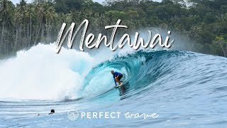 Surfing Mentawai With The Perfect Wave  Andy Potts [upl. by Yvad44]