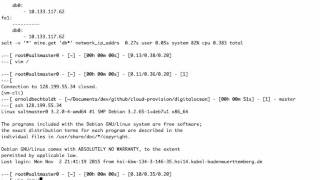 SaltStack  Orchestration amp Application Deployment Demo [upl. by Katharine]