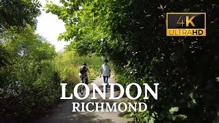 Relaxing London UK Summer Walking Tour  Kew Riverside Nature Along the River Thames Part 2  4K [upl. by Ahsinyt781]