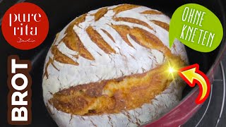 Brot selber backen ohne Kneten 🥖 Speedy NoKnead Bread [upl. by Dlanod]