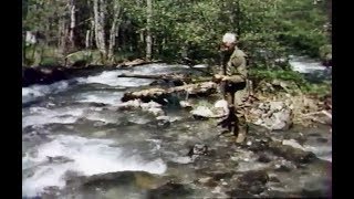 Histoires Naturelles  Ou sont nos poissons dantan [upl. by Aehc]