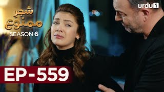 ShajareMamnu  Episode 559  Turkish Drama  Forbidden Fruit  Urdu Dubbing  6th June 2023 [upl. by Novhaj474]