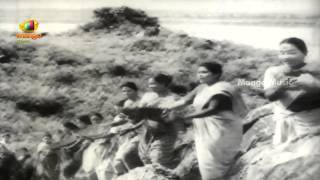 O Rama Nee Naamam Video Song  Bhakta Ramadasu Telugu Movie  ANR  NTR  Anjali Devi [upl. by Neeoma540]