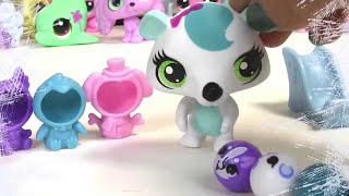 Snow Day Littlest Pet Shop Chilly Weather Fun Playset LPS Rolleroos REUPLOAD [upl. by Lalita]