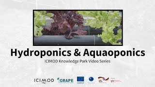 Hydroponic and Aquaponic Agriculture [upl. by Iat143]