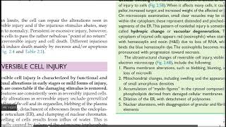 causes of cell injuryreversible cell injury PART 2 [upl. by Eibrik]