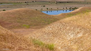 Hanford Reach National Monument [upl. by Eltsyek500]