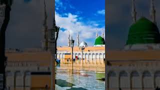 Ya Rahim subhanallah 🙎🥰🤲🏼🕋 ytshorts beautiful ayemereallahmujhkokaramdefarmana comedy meriulfa [upl. by Velleman]