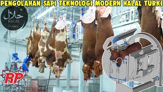 BEGINI PROSES PRODUKSI PENGOLAHAN BISNIS DAGING SAPI DAN KAMBING MODERN SECARA ISLAMI DI TURKI [upl. by Brandi]