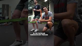 You NEED These Knee Tendon Isometrics [upl. by Notsyrb]