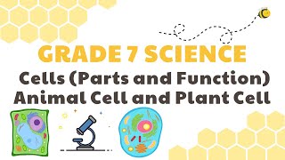 Cells Parts and Functions Plant and Animal Cell  Grade 7 Science DepEd MELC Quarter 2 Module 4 [upl. by Jasisa273]