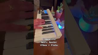 What’s your favorite Mellotron sound combo mellotronmicro keyboards synths homestudio [upl. by Naldo]