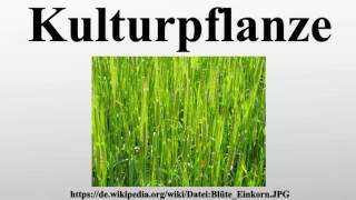 Kulturpflanze [upl. by Carn]