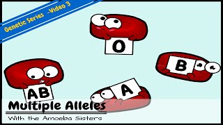 Multiple Alleles ABO Blood Types and Punnett Squares [upl. by Nilatak]