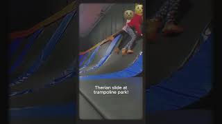 Therian slide at trampoline park 🌿😼3  fypシ quads therian publicgearing antizoo [upl. by Noleta]