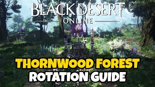 Thornwood Forest Rotation Guide  Black Desert Online [upl. by Assilen518]