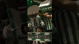 Más allá de la frontera 🇯🇵🌴 RealBetis BetisWeek [upl. by Leryt146]