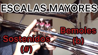 Como TOCAR las 🔔ESCALAS Mayores en Trombon APRENDE a tocar Trombón FÁCIL Y RÁPIDO 🚀 [upl. by Yenmor]