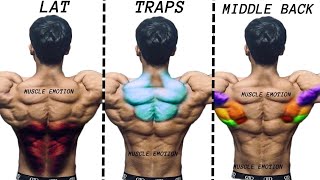 TOP 5 LAT MIDDLE BACK TRAPS WORKOUT WITH DUMBBELLS CABLE AND MACHINE AT GYM [upl. by Laamaj]