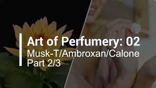 All about Ambroxan  Ambergris Specialty  Art of Perfumery 02 Musk T Ambroxan amp Calone Pt 23 [upl. by Carlita535]