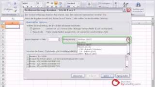 Excel Tutorial Textdatei importieren [upl. by Edgar609]