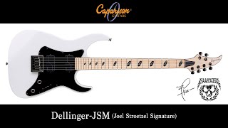 Caparison Guitars  DellingerJSM  Joel Stroetzel Killswitch Engage Signature Model [upl. by Mose]