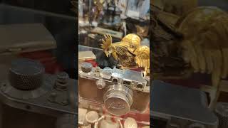 brocante videgrenier [upl. by Lenroc]