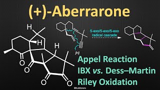 Total Synthesis of Aberrarone [upl. by Annairda343]