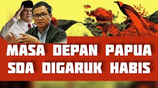 The Future of Dredging Papuas Natural Resources Prabowo Stops [upl. by Ardnosak]