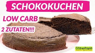 Der 2 Zutaten Schokokuchen Low Carb Schokokuchen ohne Mehl backen I Einfache Low Carb Rezepte [upl. by Eseerahs]