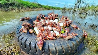 Oh wow wowExpert farmers found many snails and duck eggs on the tires near the flowing water [upl. by Royd]