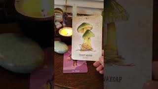 ♍ VIRGO November 2024 Energy Oracle Card virgo oraclemessages [upl. by Nirok]