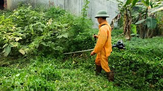 Free home cleanup for single moms with overgrown yards and houses neglected for 30 years [upl. by Eentihw]