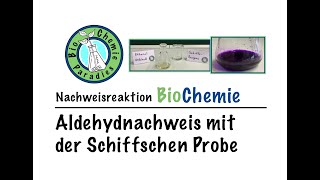 Nachweisreaktion BioChemie – Aldehydnachweis mit der Schiffschen Probe [upl. by Yvor932]