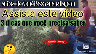 3 dicas para fazer uma excelente silagem sem inoculante [upl. by Fisher]