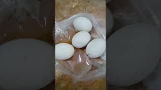 LetS PENOY balut [upl. by Ytsihc]