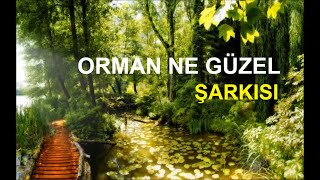 Orman Ne Güzel Şarkısı  Çocuk Şarkıları [upl. by Llieno]